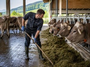 Pracownik gospodarstwa mlecznego / …