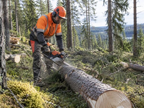 Pracownik leśny / Drwal – Kongsvinger