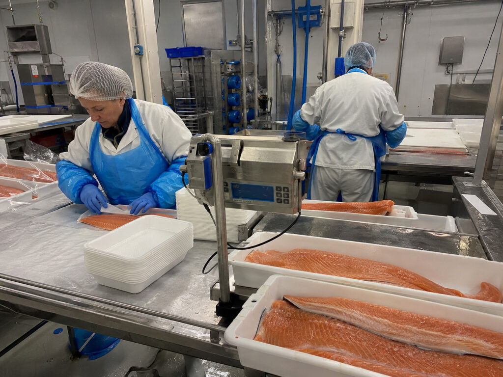 Pracownik pakowania i produkcji łososia – Szwecja, Gothenburg