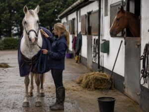 Pracownik stajni / Groom koni